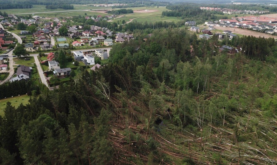 Audros išversti medžiai