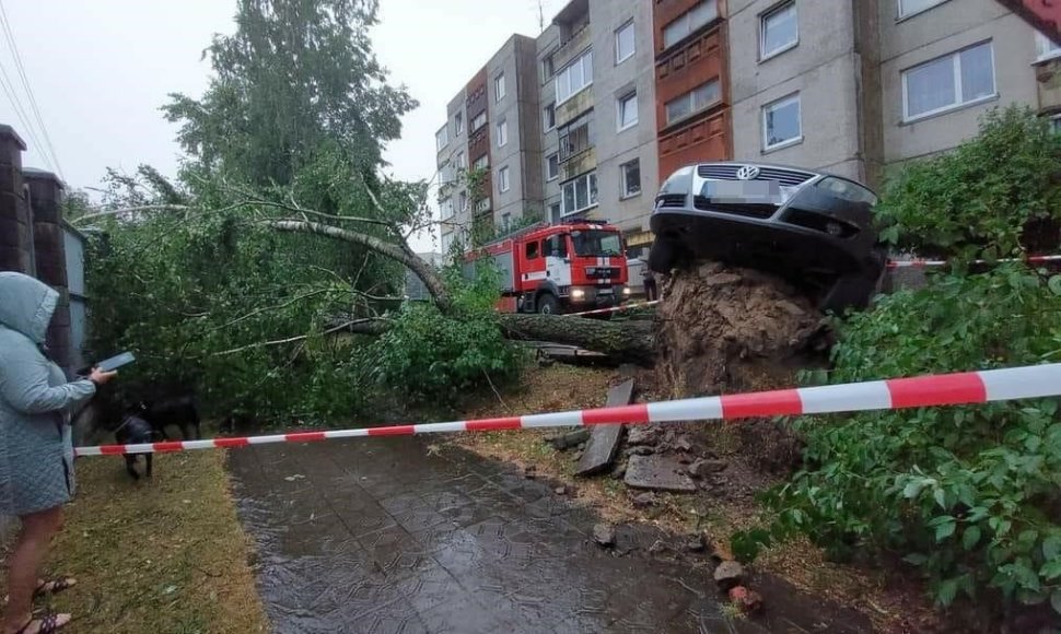 Virstančio medžio šaknys į viršų pakėlė automobilį