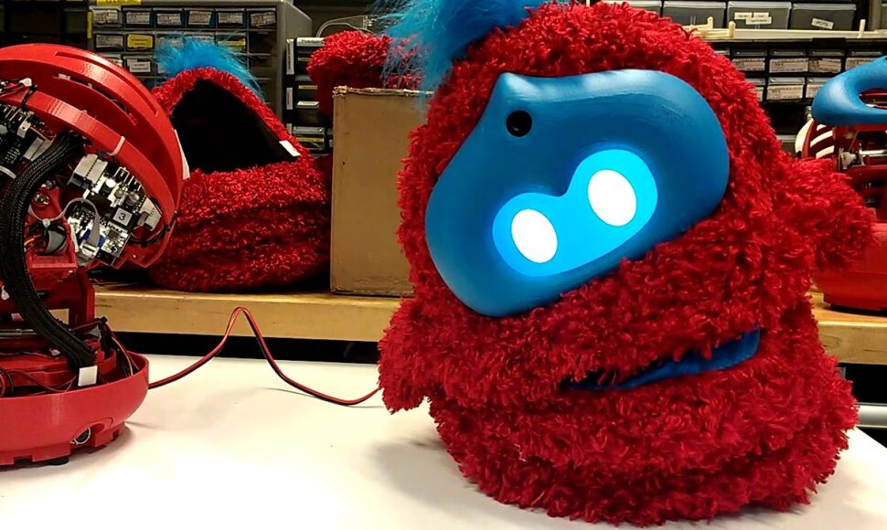 Robotas Robotas „Tega“