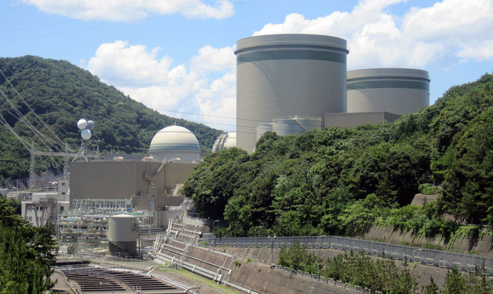 Takahamos atominė elektrinė