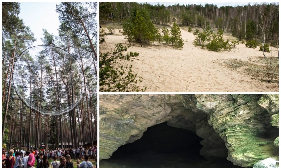Kur rasti įdomiausias vietas Lietuvos miškuose