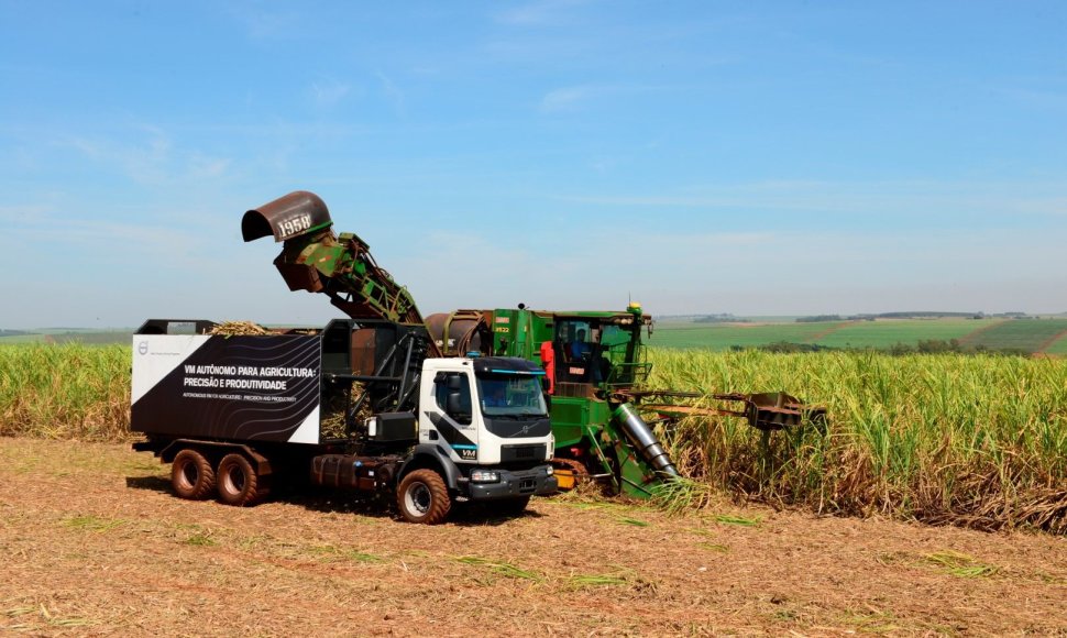 Savavaldis „Volvo“ sunkvežimis cukranendrių lauke Brazilijoje