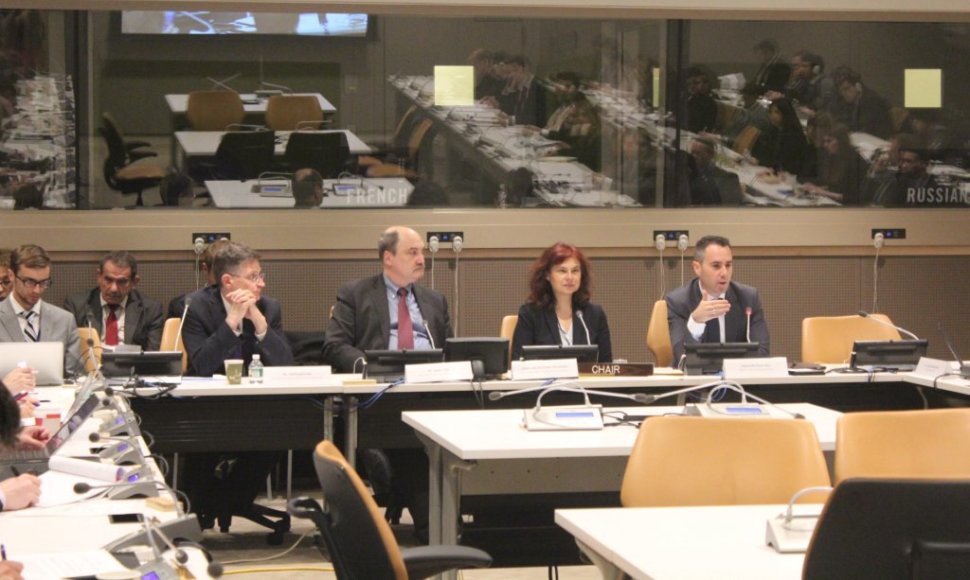 Raimonda Murmokaitė (antra iš dešinės) Jungtinėse Tautose