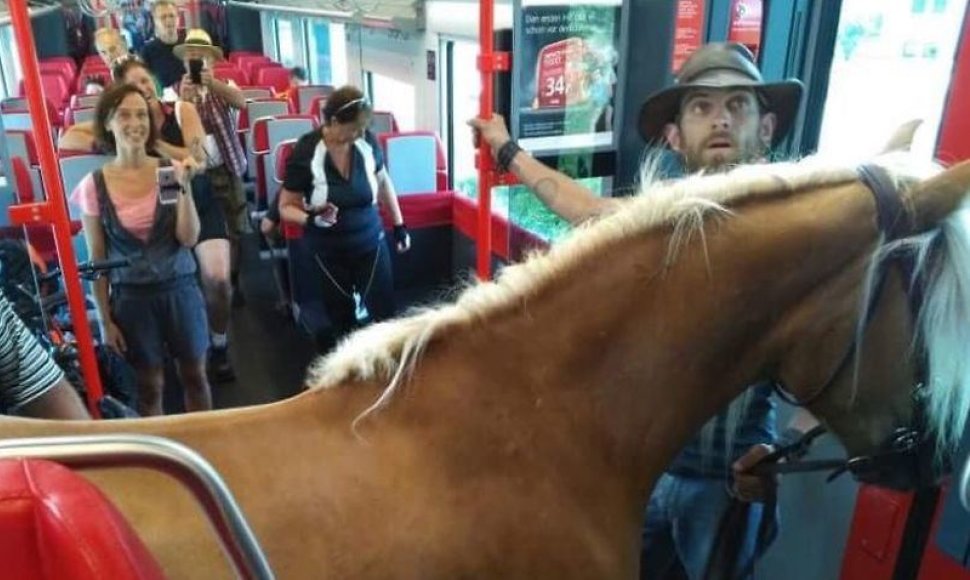Austrijoje vyras mėgino įlaipinti į keleivinį traukinį arklį