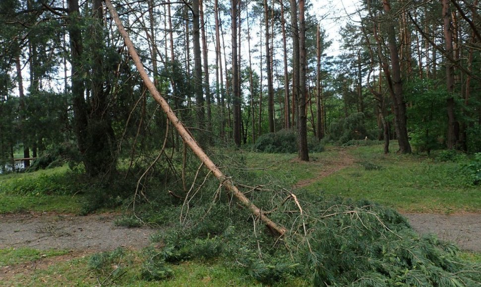 Durskininkus nuniokojo škvalas