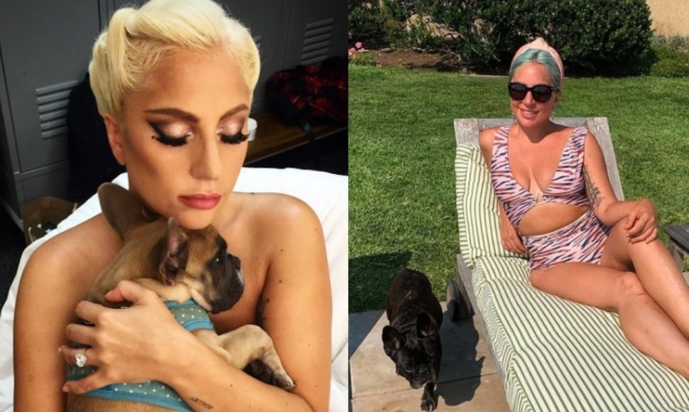Lady Gaga su savo šunimis