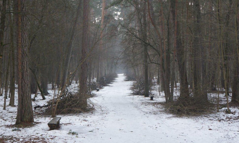 Tvarkomas Vingio parkas