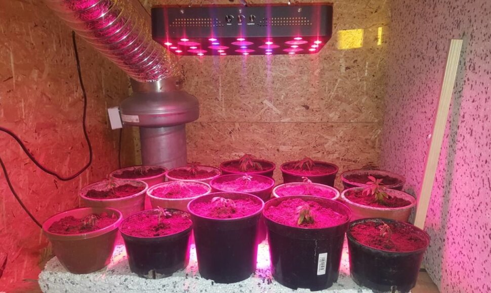 Kaune rasta 100 kg narkotikų kontrabandos