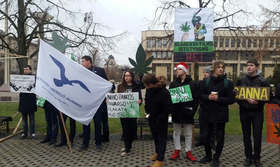Prie Seimo piketuoja šimtai jaunuolių: nenori kalėjimo dėl kanapių suktinės