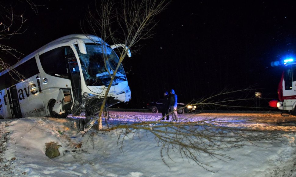 Į medį įsirėžė Lenkijos turistus vežęs autobusas