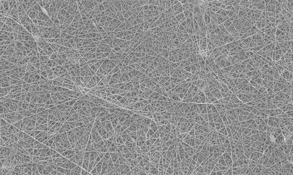 Antimikrobinės dangos nanopluošto mikroskopinis vaizdas
