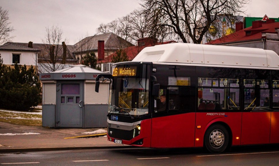 Autobusas Panevėžyje