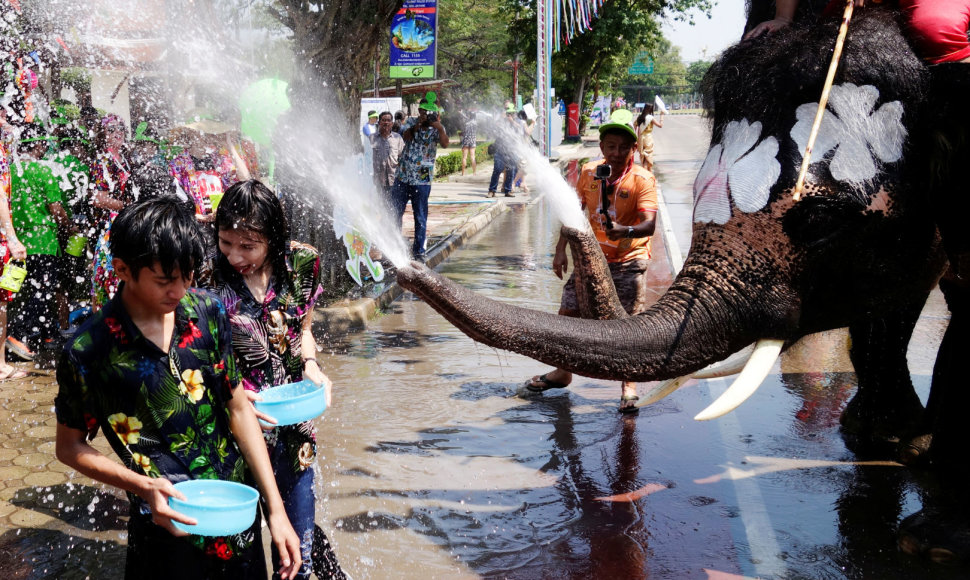 Tailandas dramblių vandens mūšiu pasitinka tradicinius Naujuosius metus
