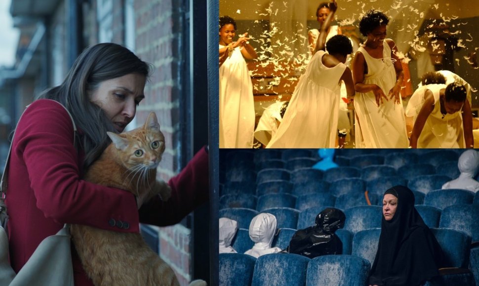 Kadrai iš filmų „Katė sienoje“, „Nilo Dievo motina“, „Konferencija“