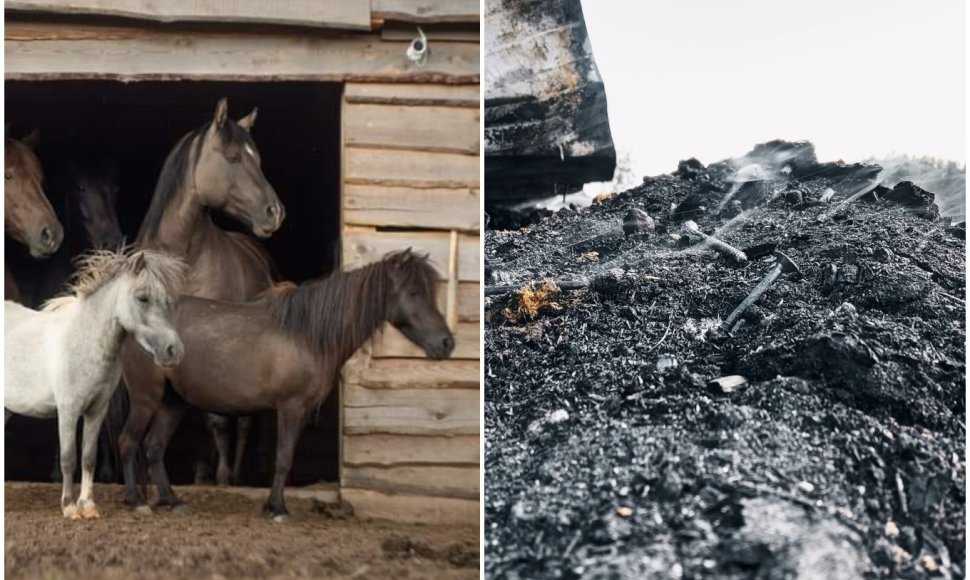 Arklių slėnyje įtariamas padegimas, arkliai neteko namų