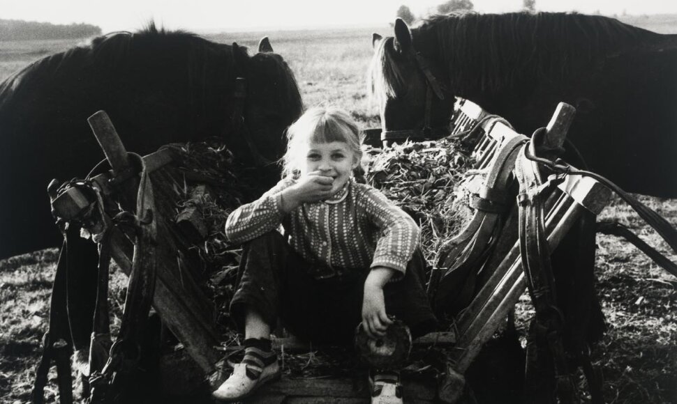 Vienkiemio vaikai, 1980