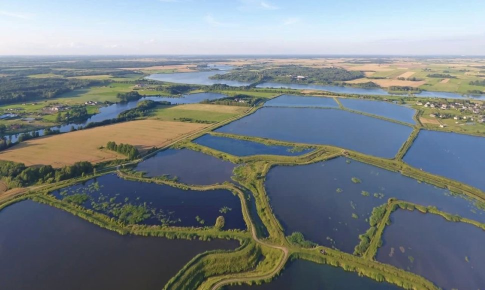2022 metų duomenimis, Lietuvoje akvakultūrą plėtojo 67 ūkio subjektai.  