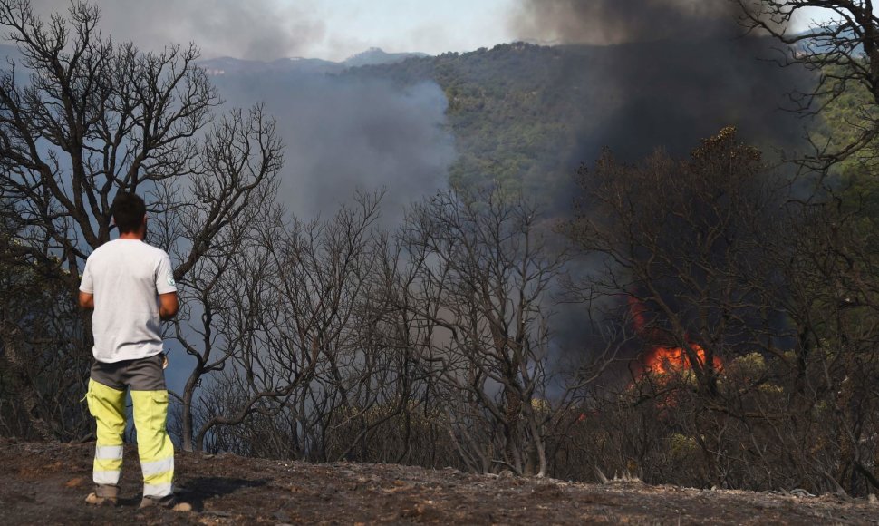 Prancūzijos ugniagesiai suvaldė vieną didžiausių miškų gaisrų