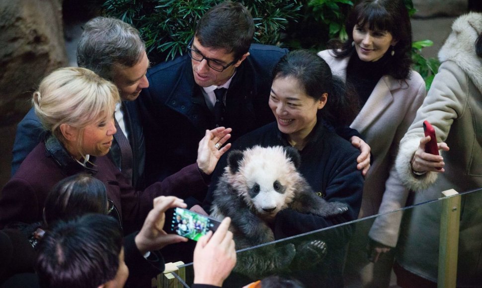 Brigitte Macron aplankė pandą