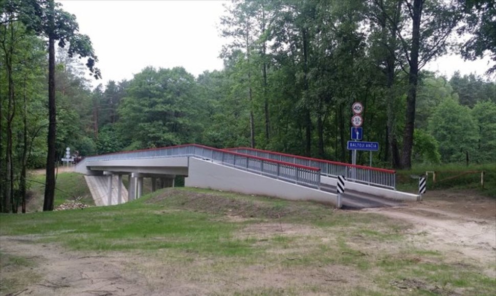 Tiltas per Baltąją Ančią