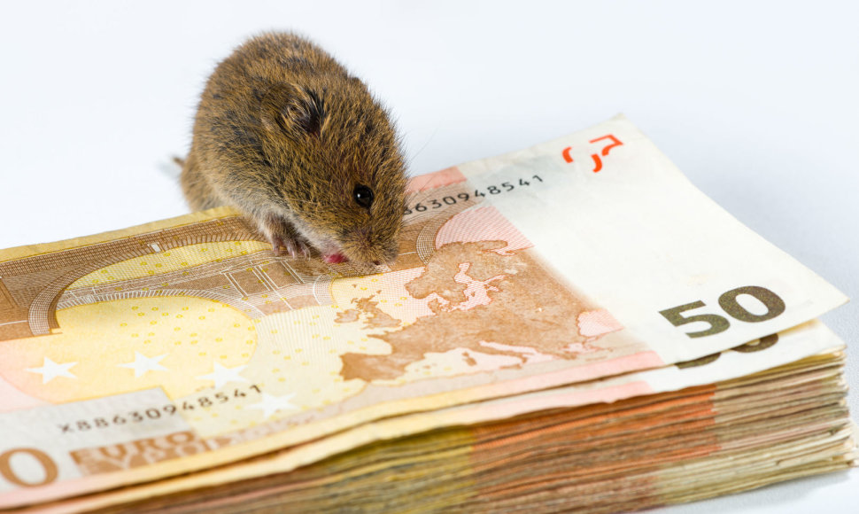 Pelė graužia pinigus