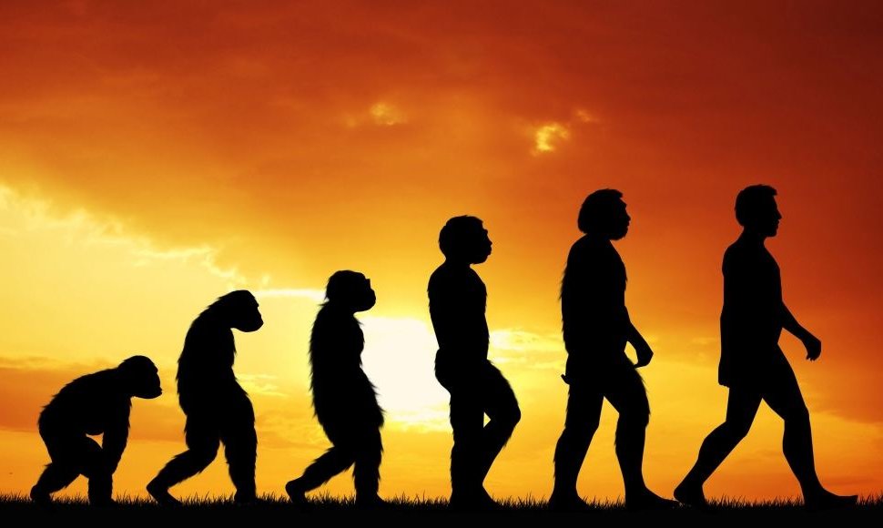 Žmogaus evoliucija