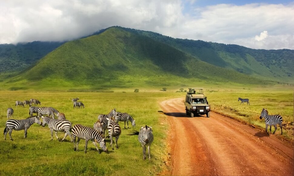 Ngorongoro draustinyje vykstantys safariai vilioja daugybę turistų
