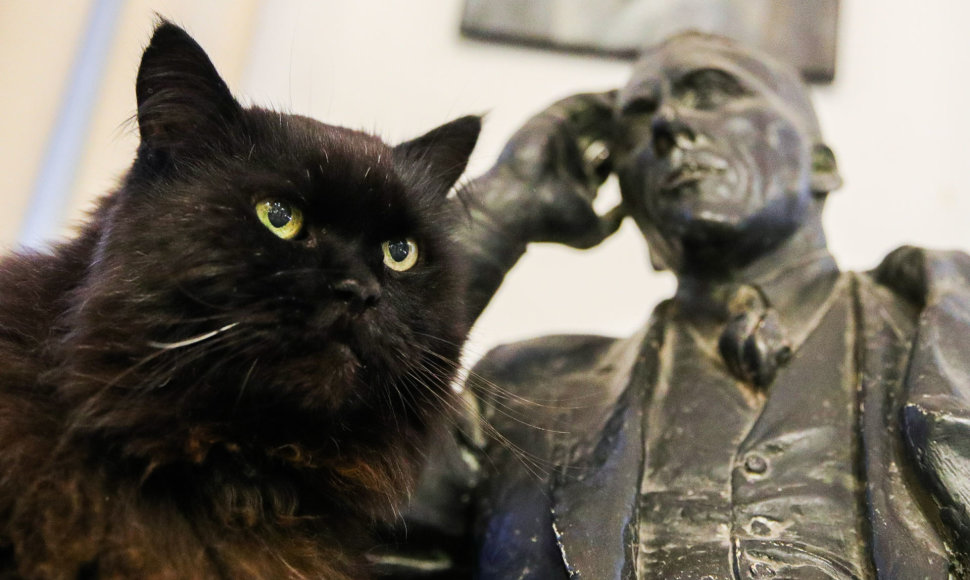 Katinas pavadintas Begemotu ir Michailo Bulgakovo skulptūra