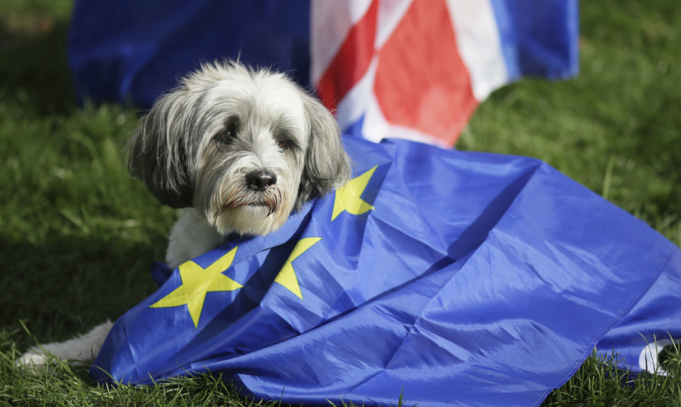 Tūkstantis šunų su šeimininkais Londone protestavo prieš „Brexit“