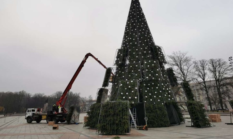 Vilniuje iškilo Kalėdų eglė