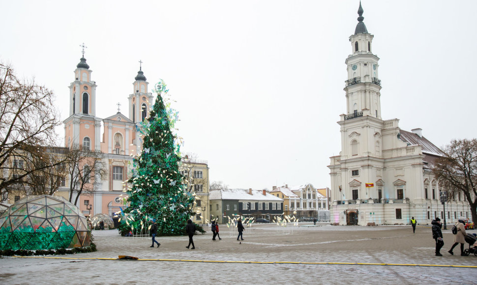 Kauno Kalėdų eglė