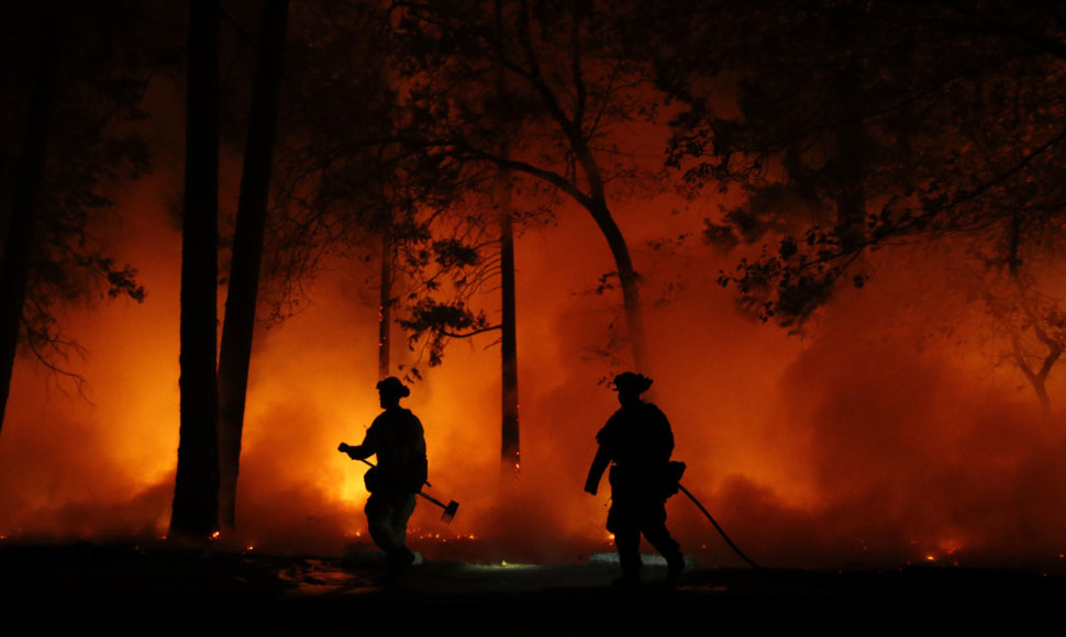 Miško gaisras Kalifornijoje