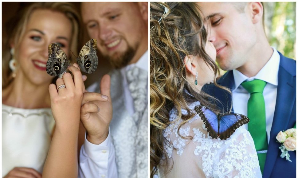 Vietoj balandžių per vestuves – drugeliai