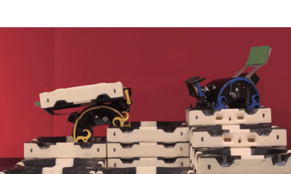3D spausdintuvu pagaminti bato dydžio formos robotai 