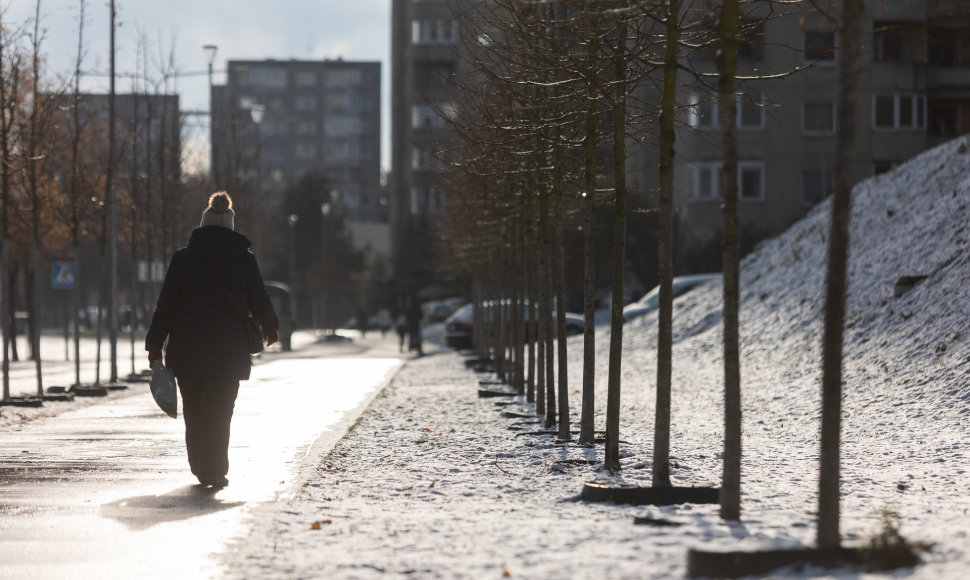 Apsnigtas Vilnius 