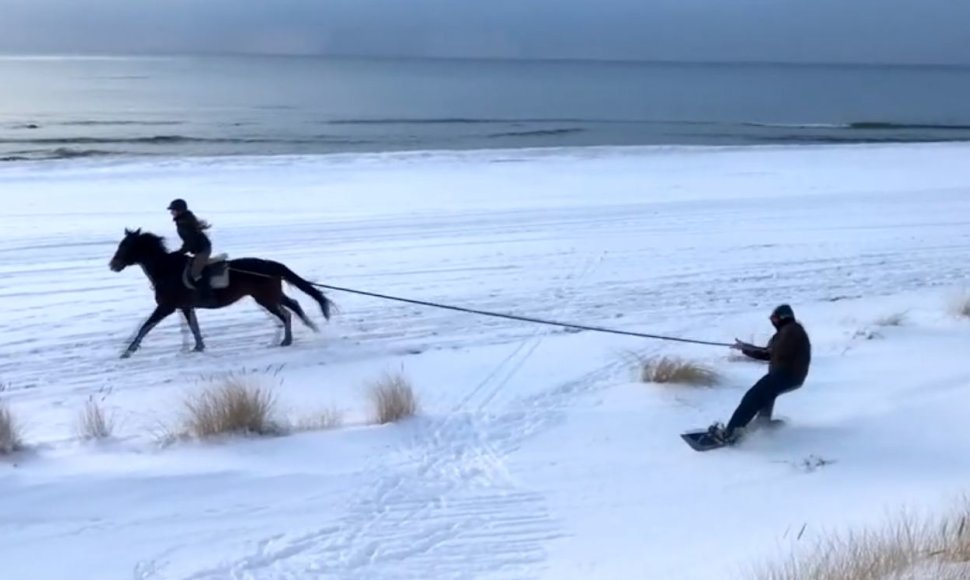 Į Lietuvos pajūrį žiemą vilios pašėlusi atrakcija su žirgais