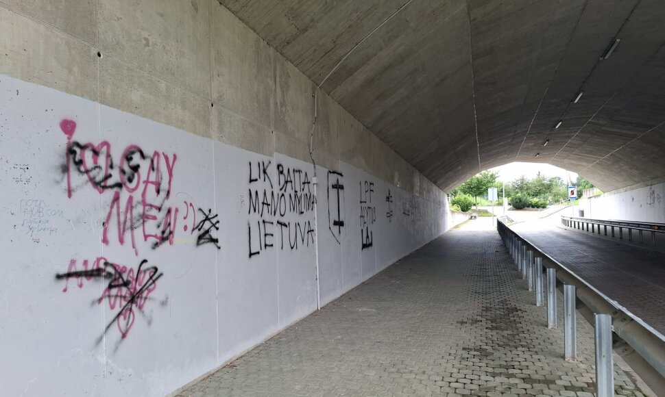Užfiksuotas pažeidimas