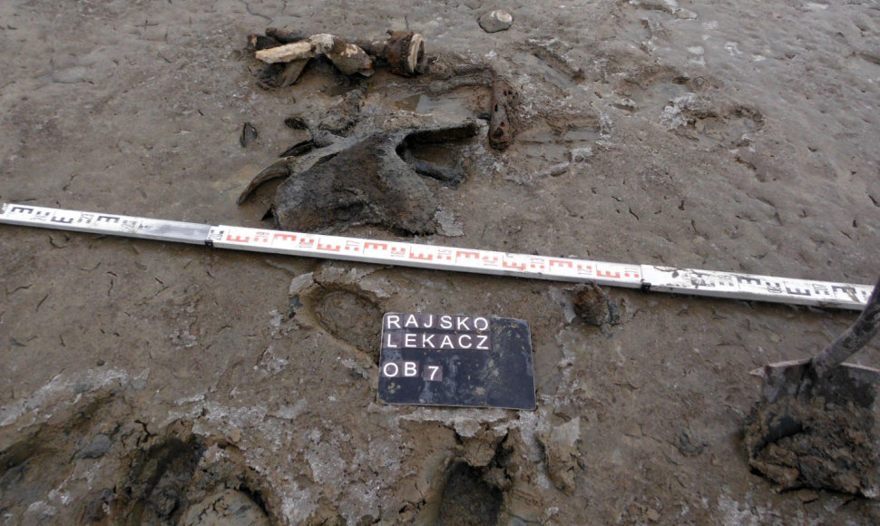 Ežere netoli Aušvico aptikta Antrojo pasaulinio karo laikų sovietinio bombonešio nuolaužų