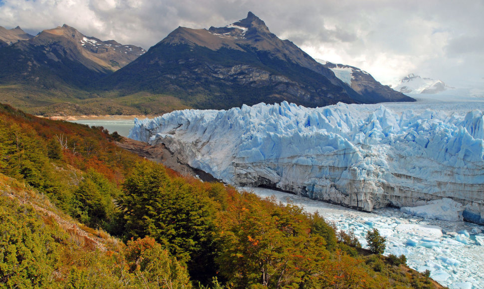Argentina, ledynas Patagonijoje
