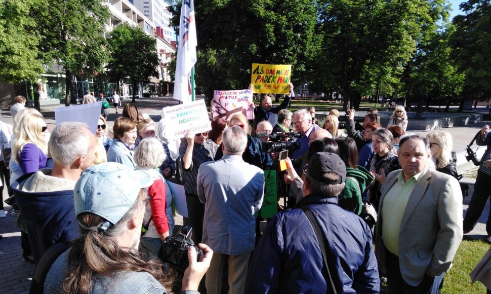 Protestas dėl išpjautų medžių 