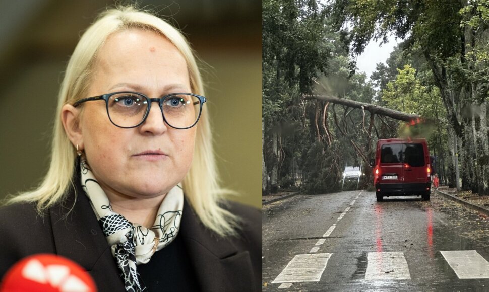 Ligita Girskienė, audra