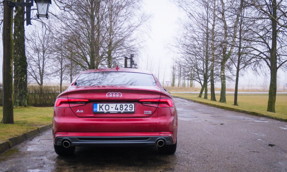 Šeduvos malūnas ir „Audi A5 Sportback“