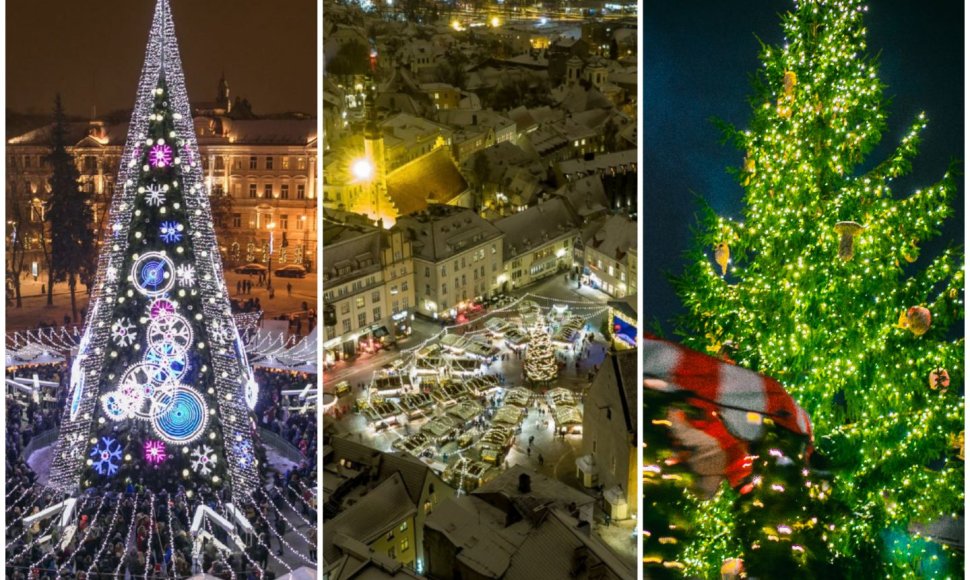 Vilniaus, Talino ir Rygos Kalėdų eglės