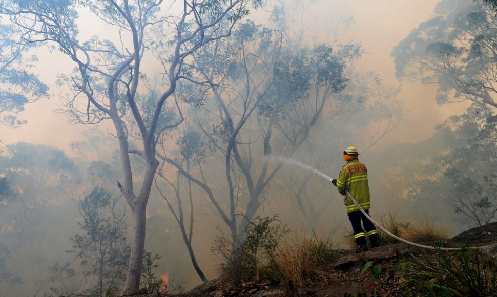 Krūmynų gaisrai Australijoje