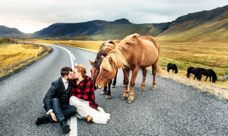 Nevadinkite Islandijos arklių poniais