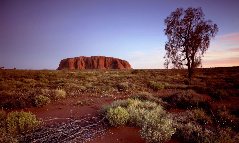 Uluru uola Australijoje 