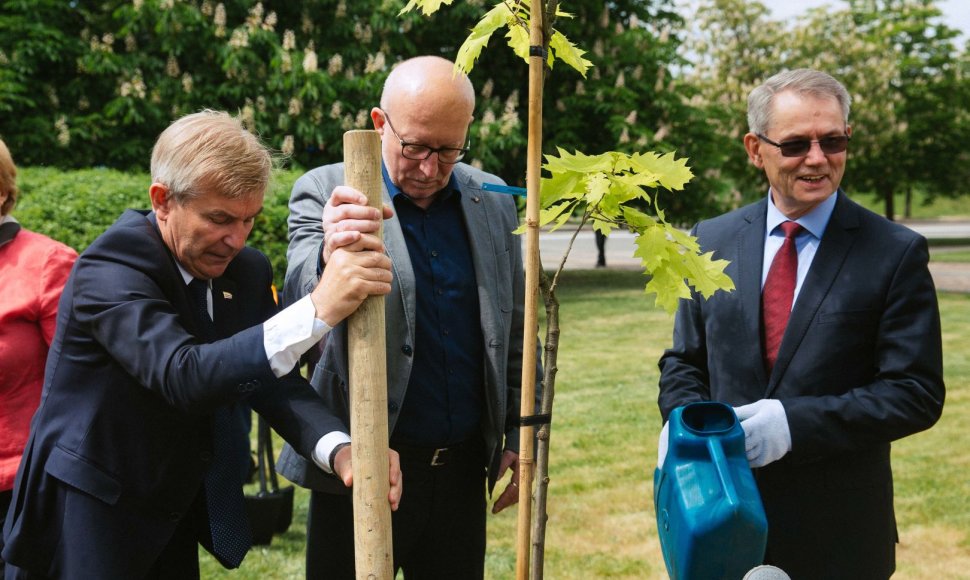 Viktoras Pranckietis kartu su ankstesnių kadencijų Seimo pirmininkais sodino Šimtmečio ąžuolą