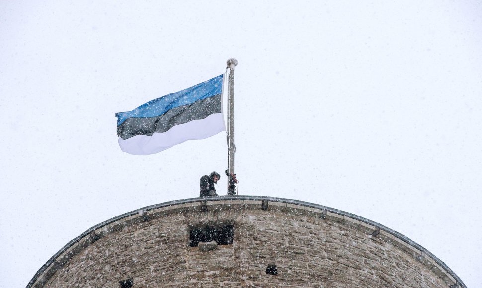 Estijos vėliava