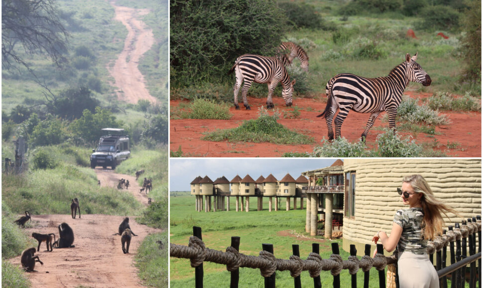 Viktorijos įspūdžiai iš safarių Afrikoje