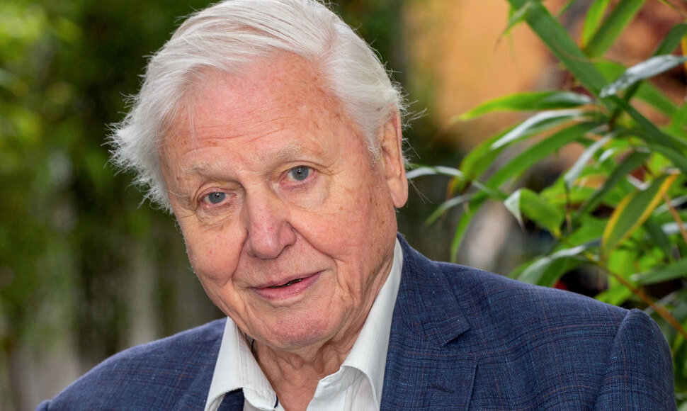 Davidas Attenborough